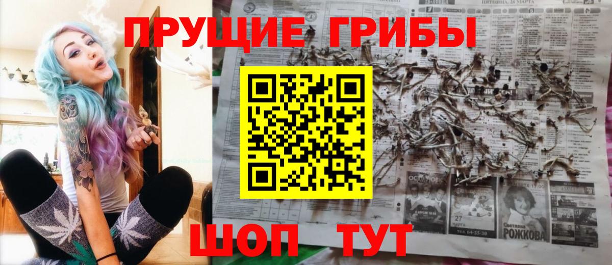 Псилоцибиновые грибы мицелий Моршанск