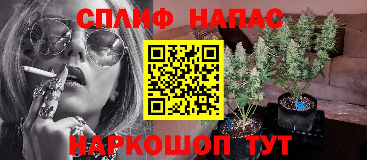 Конопля план Моршанск
